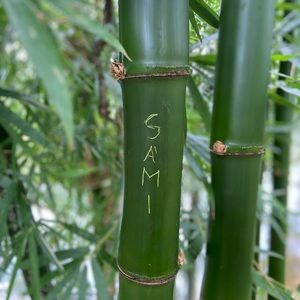 Meet your Posher, Sami